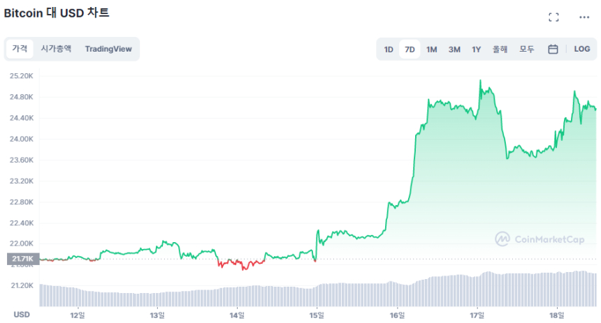  비트코인 2만4500달러선...한 주 동안 13% 상승