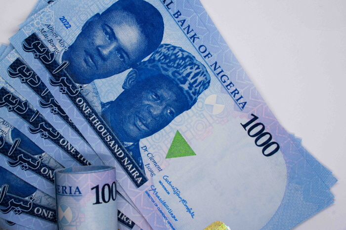 나이지리아, '현금 없는 경제' 강화하다 대혼란...