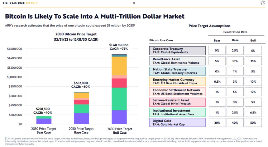 '돈나무 언니' 캐시 우드 아크인베스트 