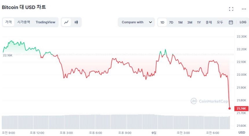  [시세브리핑] 비트코인 2만2000 달러선 깨져...시총 1조 달러 아래로