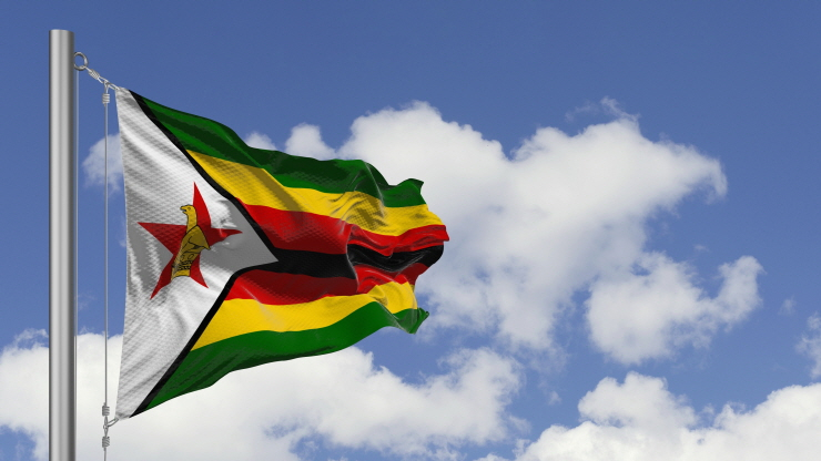  짐바브웨, 금 연동 디지털화폐 발행...현지 통화 안정 위한 조치