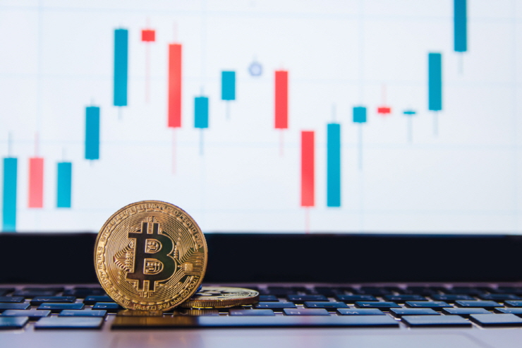 신뢰 얻은 비트코인, 시장 점유율 48%...2년래 최고 수준