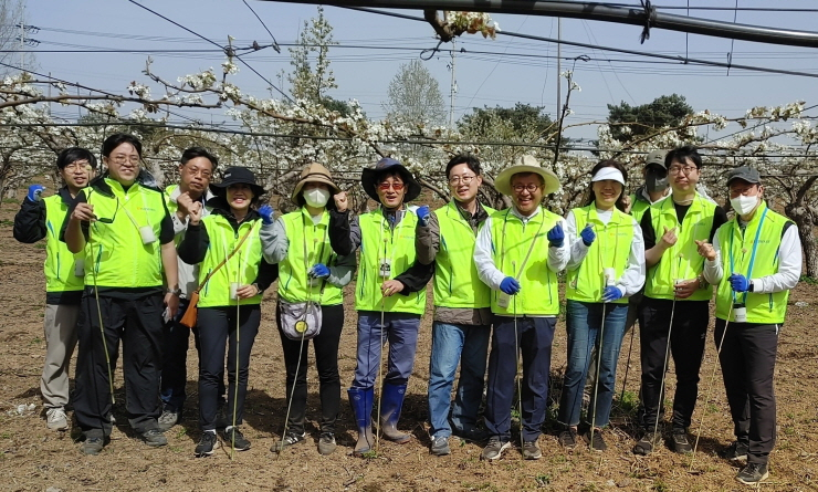  NH농협은행 자금시장부문, 천안 배 농가 찾아 일손도와