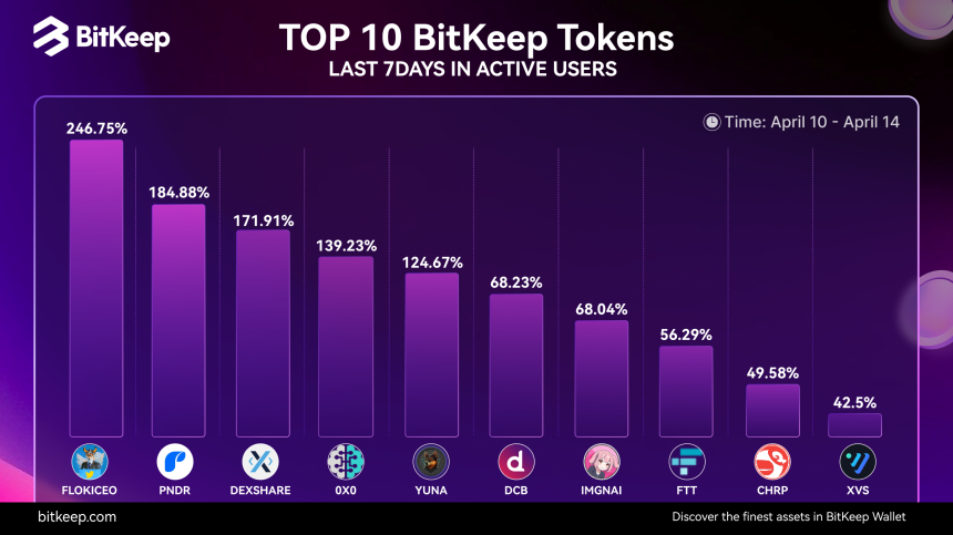  비트킵 주간 코인 시세 분석