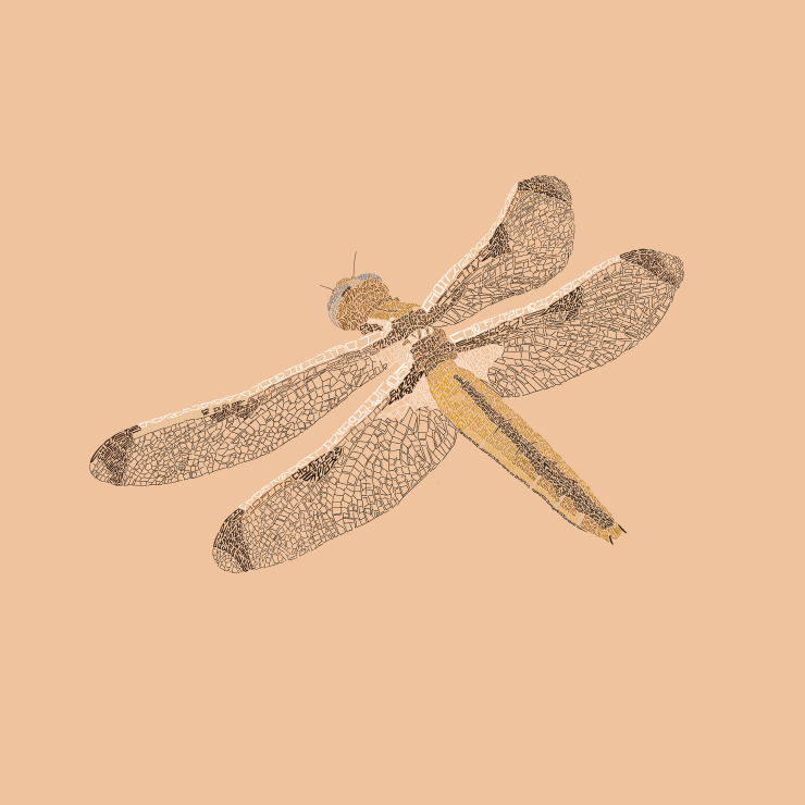  뉴스펭귄, '4월의 멸종위기종' 대모잠자리 선정