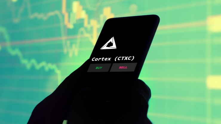  혼조세 속 '엔비디아' 24% 고공행진...'AI 테마 암호화폐'도 상승세