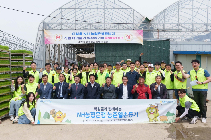  이석용 NH농협은행장, 임직원들과 파주시 벼 재배농가 찾아 일손돕기 실시