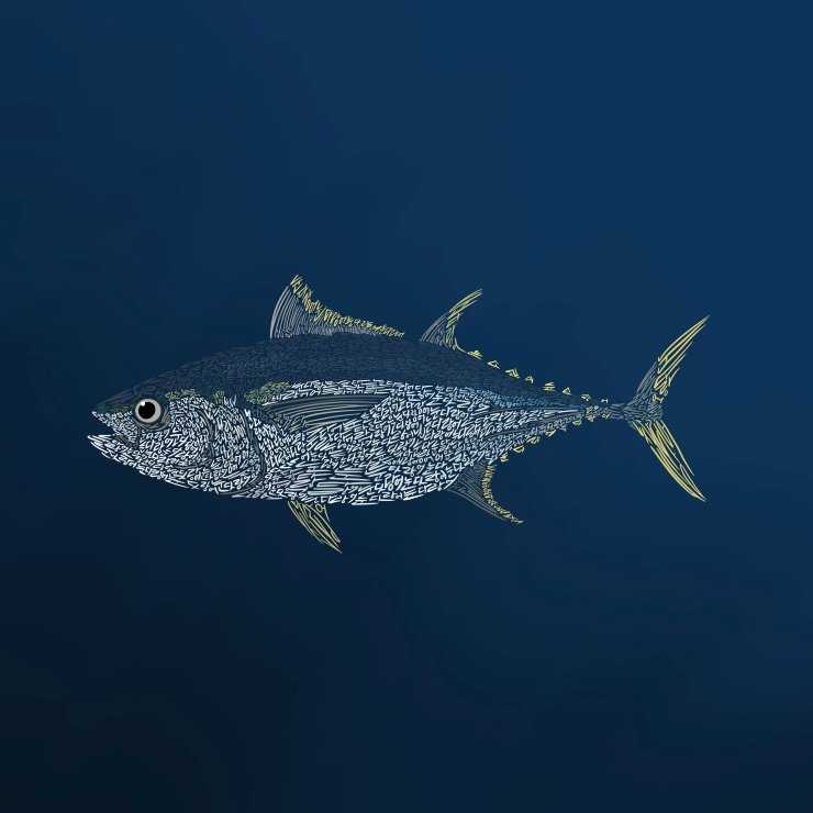  뉴스펭귄, '5월의 멸종위기종' 눈다랑어 선정