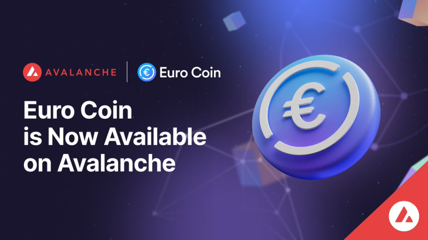  서클, '아발란체'서 유로 스테이블코인 출시