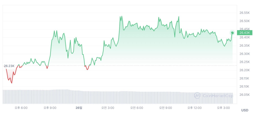  [마감 시세브리핑] 비트코인 2만6410 달러, 이더리움 1809 달러선