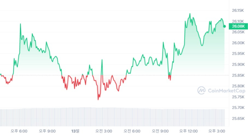  [마감 시세브리핑] 비트코인 2만6000 달러선 회복...알트코인 상승 기류
