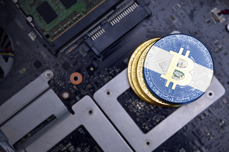  사진 = shutterstock 