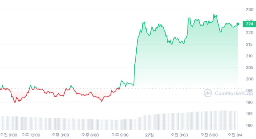  비트코인캐시, 일간·주간 상승률서 1위...시총 순위 '8계단' 껑충