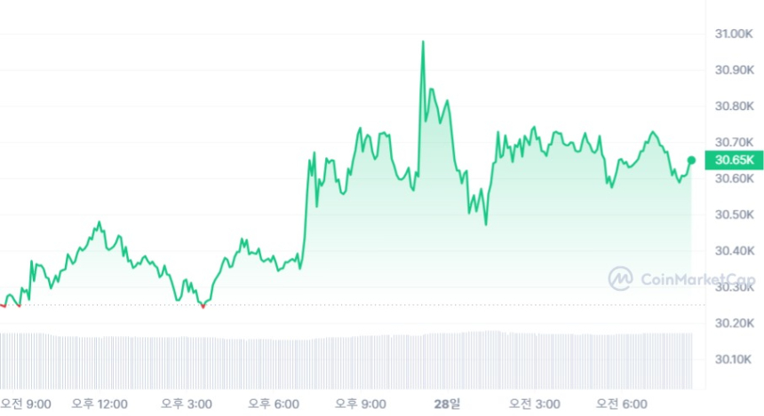  [시세브리핑] 암호화폐 시장 완만한 상승 흐름...비트코인 간밤 한때 3만1000 달러 도전