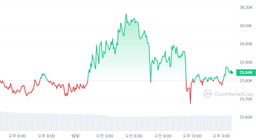  [마감 시세브리핑] 비트코인 2만5850 달러, 이더리움 1740 달러선