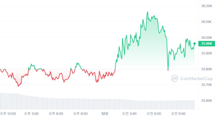  [오후 시세브리핑] 비트코인 보합, 알트코인 진정세