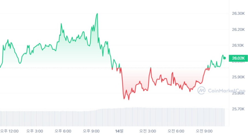  [오후 시세브리핑] 소폭 살아난 시장...비트코인 2만6000 달러선 회복