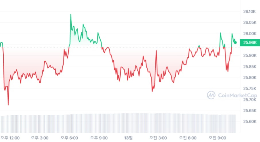 [오후 시세브리핑] 비트코인 2만5930 달러 보합