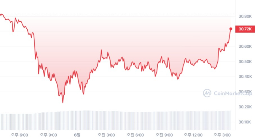  [마감 시세브리핑] 비트코인 3만 달러, 이더리움 1920 달러선