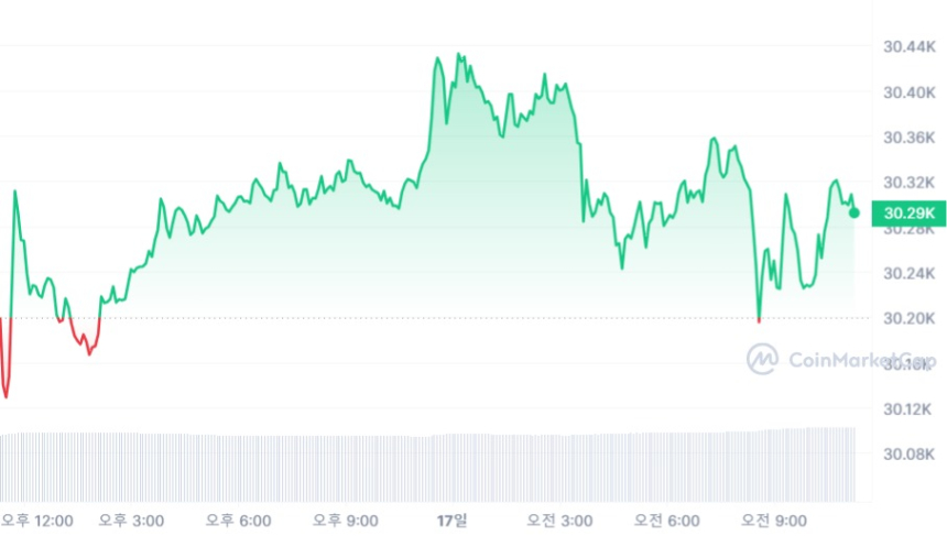  [오후 시세브리핑] 암호화폐 시장 혼조세...비트코인 3만290 달러선