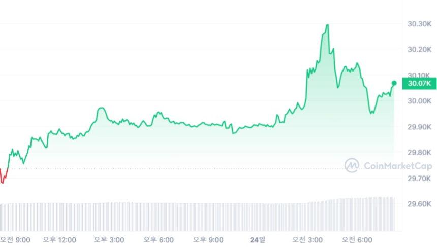  [시세브리핑] 암호화폐 시장 횡보...비트코인 3만 달러 터치
