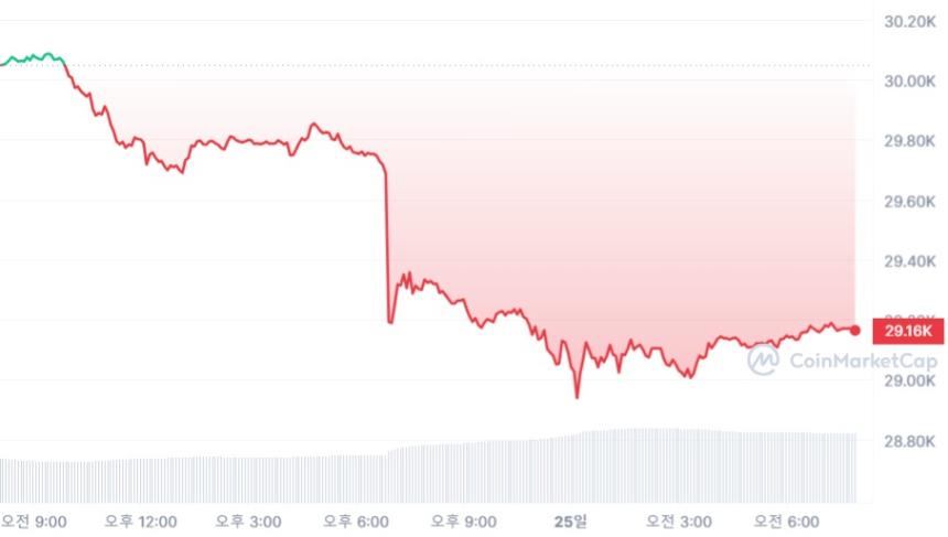  [시세브리핑] 비트코인 2만9150 달러선까지 밀려...DOGE 4% ↑