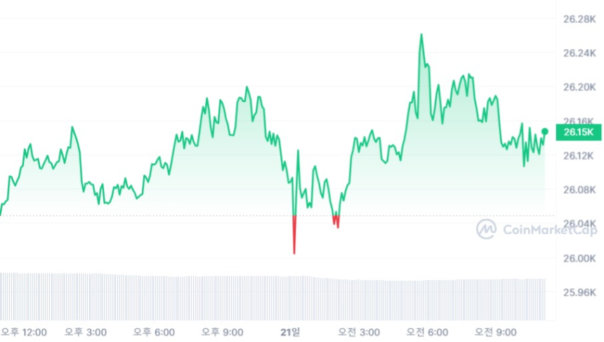  [오후 시세브리핑] 변동 없는 가상자산 시장...비트코인 2만6140 달러선