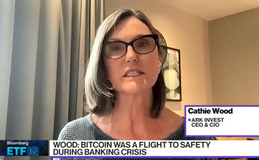 돈나무 언니 캐시 우드 