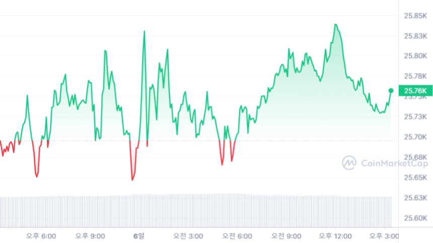  [마감 시세브리핑] 비트코인 2만5750달러, 이더리움 1630달러