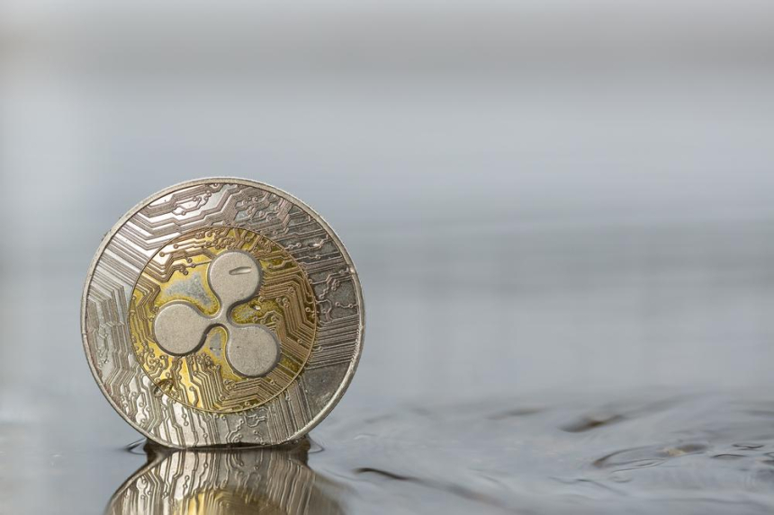 [토큰포스트 칼럼] 리플코인(Ripple Coin)은 미국 항소심 판결에서도 증권성이 부인될까?