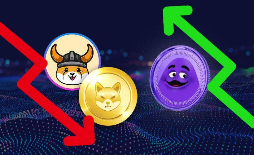  너무 떨어지는 FLOKI와 주간 14% 하락한 SHIB…그리머스 , 미친 성장 계속할 수 있을까