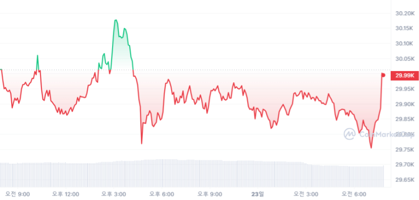  [시세브리핑] 현물 ETF 기대감 속 비트코인 2만9989달러선