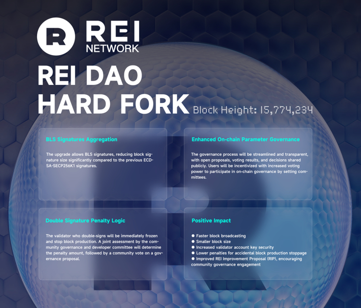  레이네트워크, '레이 다오' 업그레이드 완료