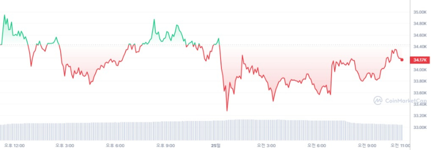  [오후 시세브리핑] 암호화폐 시장 약보합세...비트코인 3만4150달러선