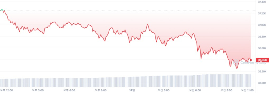  [오후 시세브리핑] 암호화폐 시장 주춤...비트코인 3만6437달러
