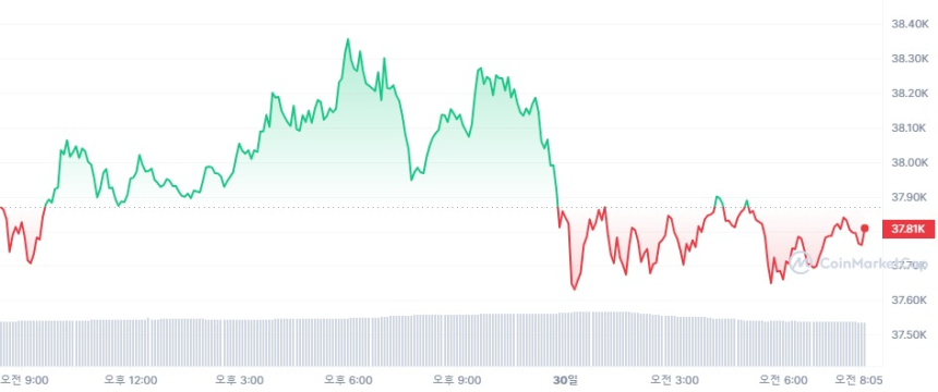  [시세브리핑] 암호화폐 시장 약보합...비트코인 3만7830달러선