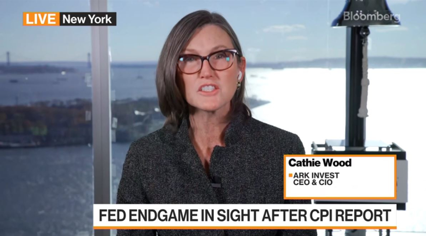 캐시 우드,비트코인은 '끔찍한' 정부 재정 정책에 대한 헤지 수단