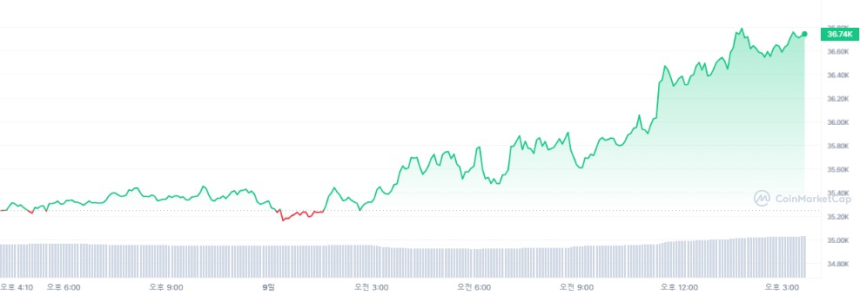  [마감 시세브리핑] 가상자산 시장 상승세...비트코인 3만6750달러선