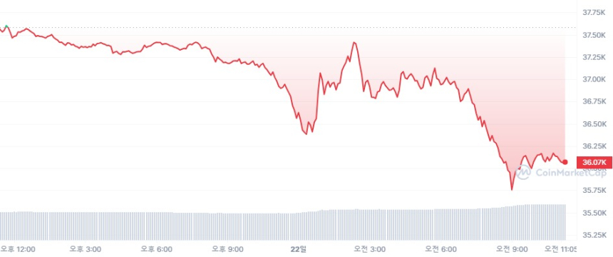  [오후 시세브리핑] 암호화폐 시장 약세 지속...비트코인 3만6000달러 방어 중
