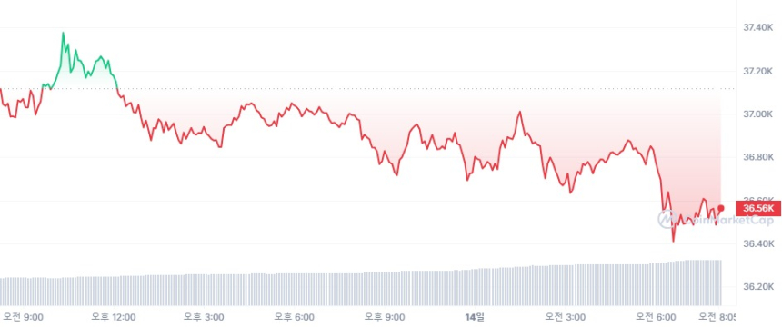  [시세브리핑] 암호화폐 시장 약세...비트코인 3만6540달러선