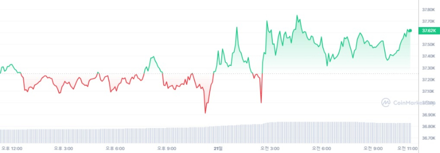  [오후 시세브리핑] 암호화폐 시장 혼조세 유지 BTC·ETH 강보합세