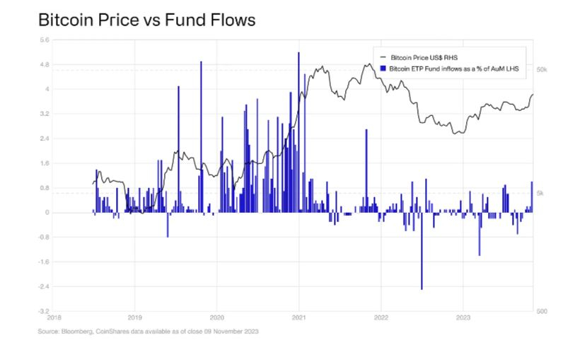코인셰어스 연구총괄 