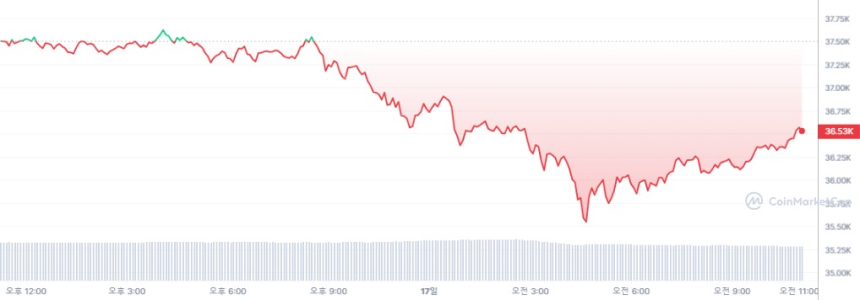  [오후 시세브리핑] 암호화폐 시장 다시 하락세...비트코인 3만6565달러