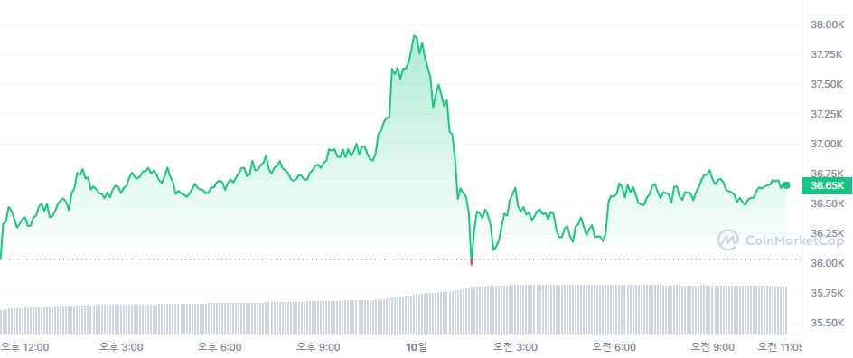  [오후 시세브리핑] 암호화폐 시장 상승 흐름 유지...이더리움 10% ↑