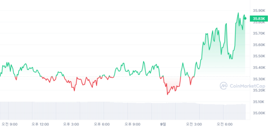  [시세브리핑] 암호화폐 시장 상승세...비트코인 3만5820달러선