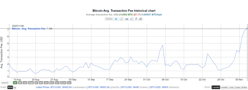 '오디널스' 열기에 비트코인 트랜잭션 수수료 6개월 최고치 경신