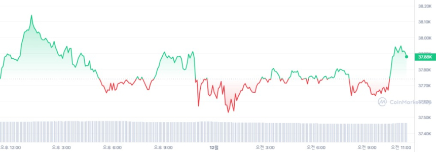  [오후 시세브리핑] 암호화폐 시장 강보합세...비트코인 3만7898달러