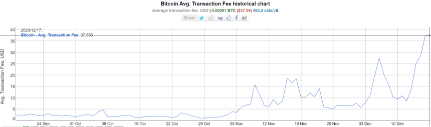  비트코인 트랜잭션 수수료 40달러 육박...20개월 최고 수준 기록