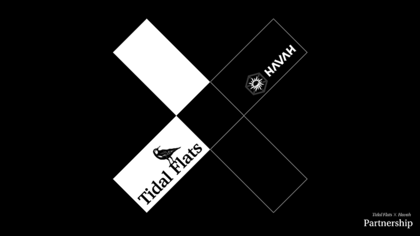  NFT 스튜디오 ‘타이달플래츠’, ‘하바’와 웹3 IP 콘텐츠 경험 확장