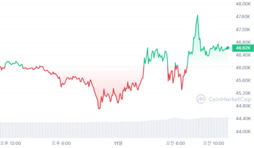  [오후 시세브리핑] 기관 수문 열린 비트코인 4만6570달러...ETH·ADA·AVAX 급반등